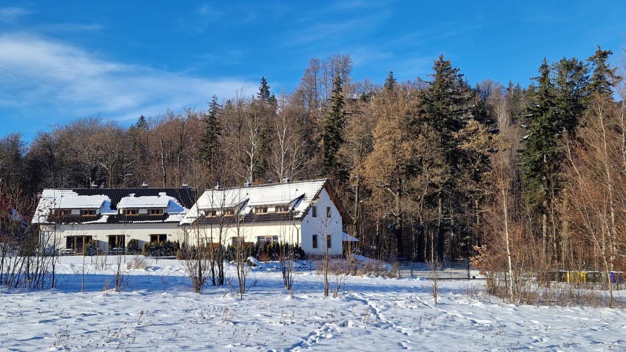 Widokowo - Domki Z Widokiem Na Sniezke Z Jacuzzi I Sauna Karpacz Exterior photo